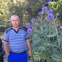 ���������� ������, ���� ������� �������, 50 ���, ������������ ��� ������