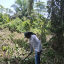 ���������� �����-���������, ���� ������� Prosper, 42 ����, ������������ ��� ������, ����� � ���������