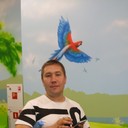 ���������� �������, ���� ������� �������, 40 ���, ������������ ��� ������, ����� � ���������, c�������� ���������