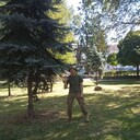  ,   , 36 ,   ,   