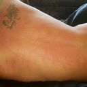 ���������� �����, ���� ������� ���, 37 ���, ������������ ��� ������