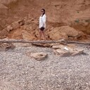  -,   , 44 ,   c 