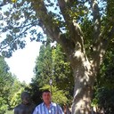 ���������� ����, ���� ������� Boba, 48 ���, ������������ ��� ������, ����� � ���������, c�������� ���������