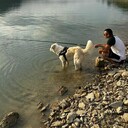 ���������� �������, ���� ������� ���, 38 ���, ������������ ��� ����� � ���������, c�������� ���������