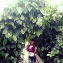 ���������� ��������, ���� ������� ��������, 31 ���, ������������ ��� ������, ����� � ���������, c�������� ���������