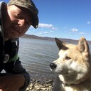 ���������� ���������, ���� ������� ������, 33 ����, ������������ ��� ������, ���������