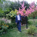  ,   , 66 ,   ,   , c 