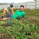 ���������� ������, ���� ������� �������, 40 ���, ������������ ��� ������, ����� � ���������