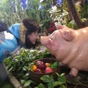 ���������� �����-���������, ���� ������� ����, 42 ����, ������������ 