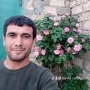 ���������� ����, ���� ������� Samir, 40 ���, ������������ ��� ����� � ���������, c�������� ���������