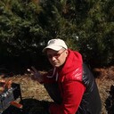  -,   , 43 ,   ,   , c 