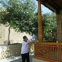 ���������� ������, ���� ������� ������, 37 ���, ������������ ��� ������, ����� � ���������, c�������� ���������, ���������