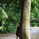 ���������� ������, ���� ������� �����, 40 ���, ������������ ��� ������, ����� � ���������, c�������� ���������