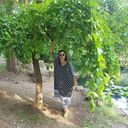  ,   , 54 ,   c 