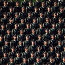 ���������� ������, ���� ������� Freemason, 41 ���, ������������ 