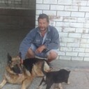 ���������� ������, ���� ������� ������, 45 ���, ������������ ��� ������, ����� � ���������, c�������� ���������, ���������