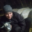 ���������� ������, ���� ������� �������, 38 ���, ������������ 