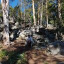 ���������� ��������, ���� ������� ���������, 41 ���, ������������ ��� ����� � ���������, c�������� ���������, ���������