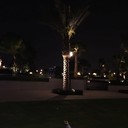  ,   Daniel, 37 ,   ,   , c 