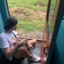 ���������� ���������, ���� ������� ������, 35 ���, ������������ ��� ������, ����� � ���������, c�������� ���������, ���������