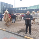 ���������� �������, ���� ������� Sherzod, 36 ���, ������������ ��� ����� � ���������, c�������� ���������