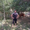  -,   Elyor, 37 ,     , c 