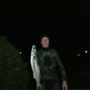 ���������� �����, ���� ������� �������, 37 ���, ������������ ��� ����� � ���������, c�������� ���������, ���������