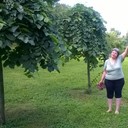  ,   , 59 ,     , c 