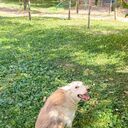  ,   Rustem, 58 ,   ,   