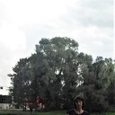 ���������� �����������, ���� ������� �����, 54 ����, ������������ 