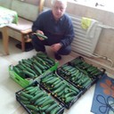 ���������� �������, ���� ������� ������, 66 ���, ������������ ��� ������, ����� � ���������, c�������� ���������