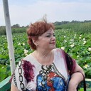  ,   , 65 ,     , c 