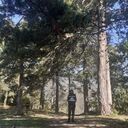 ���������� ������, ���� ������� Levan, 35 ���, ������������ ��� ������, ����� � ���������