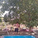 ���������� �������, ���� ������� �����, 40 ���, ������������ ��� ����� � ���������, c�������� ���������