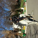 ���������� �������, ���� ������� Sardor, 40 ���, ������������ ��� ������, ����� � ���������, c�������� ���������, ���������