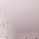 ���������� �����-���������, ���� ������� �����, 46 ���, ������������ ��� c�������� ���������