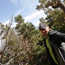 ���������� ������, ���� ������� �����, 41 ���, ������������ ��� ������, ����� � ���������, c�������� ���������