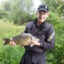   ,   , 37 ,   ,   , c 