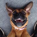 ���������� �����������, ���� ������� ARTUR, 34 ����, ������������ 