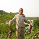 ���������� �������, ���� ������� Vasa, 46 ���, ������������ ��� ������, ����� � ���������, c�������� ���������