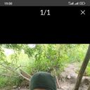  ,   , 49 ,   ,   