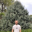 ���������� ������, ���� ������� �����, 36 ���, ������������ ��� ������, ����� � ���������