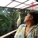  ,   , 49 ,   