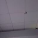 ���������� �������, ���� ������� ������, 38 ���, ������������ ��� ������, ����� � ���������