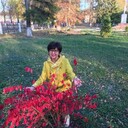  ,   , 55 ,   , 