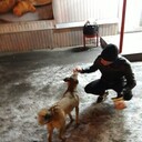 ���������� ���������, ���� ������� ������, 30 ���, ������������ ��� ������, ����� � ���������