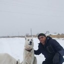  ,   , 52 ,   ,   , c , 