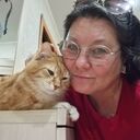 ���������� ����, ���� ������� ����, 56 ���, ������������ ��� ������, ����� � ���������