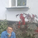  ,   , 52 ,   ,   , c 