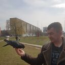 ���������� ������, ���� ������� ����, 50 ���, ������������ ��� ������, ����� � ���������, c�������� ���������